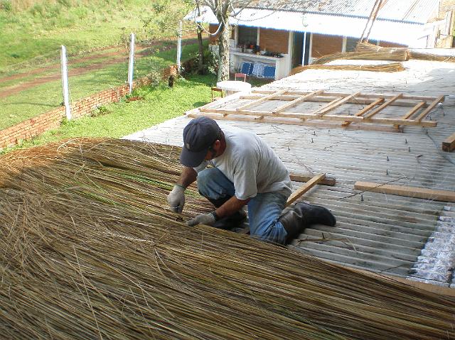 Ulises poniendo paja sobre la chapa.JPG